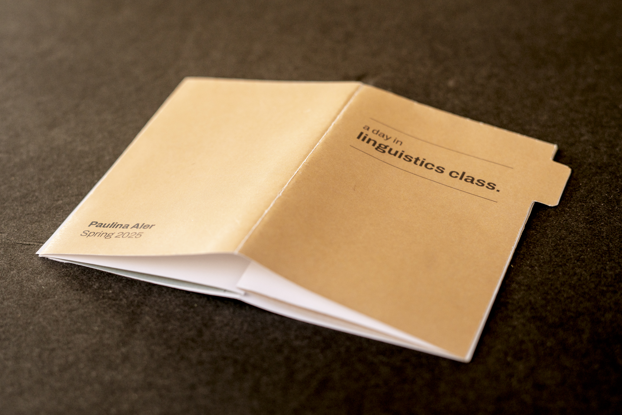 open zine flipped so front and back cover are visible. 